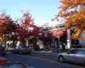 Mill Hill Road shops in the Fall